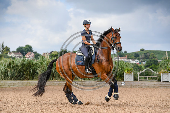 Collective Equestrian