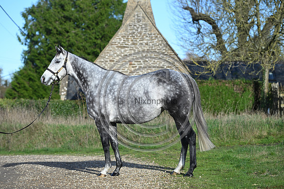 Mare_Selwood_PN61