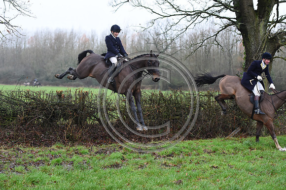 Duke of Beaufort's Hunt  08 01 22