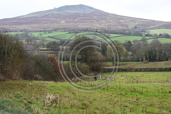 Ludlow_Hunting_41