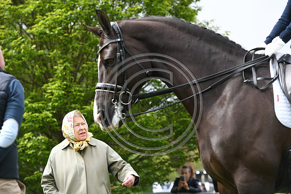 Valegro_RWHS_PN19_13015