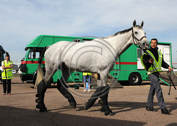 OlympicHorses_08KH279