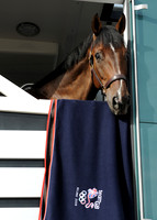 OlympicHorses_08KH276