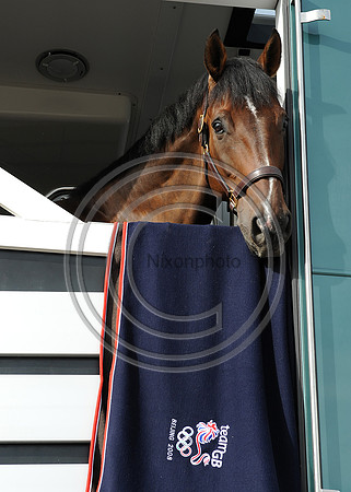 OlympicHorses_08KH276
