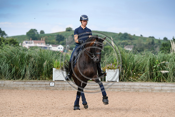 Collective Equestrian