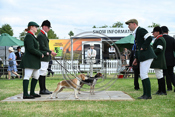 Festival of Hounds 2024