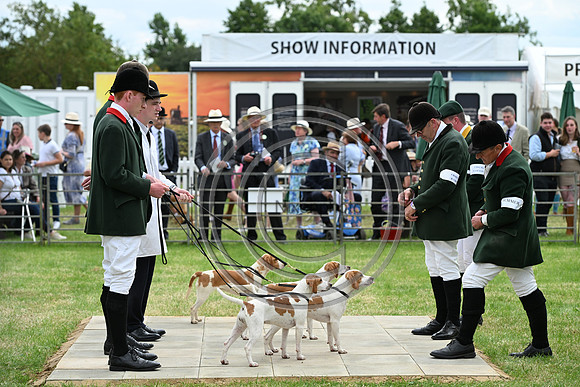 Festival of Hounds 2024