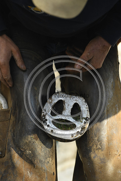 Nigel Perrott_Farrier_PN20_51874