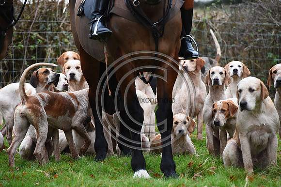 Ludlow_Hunting_75