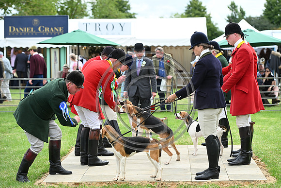 Festival of Hounds 2024
