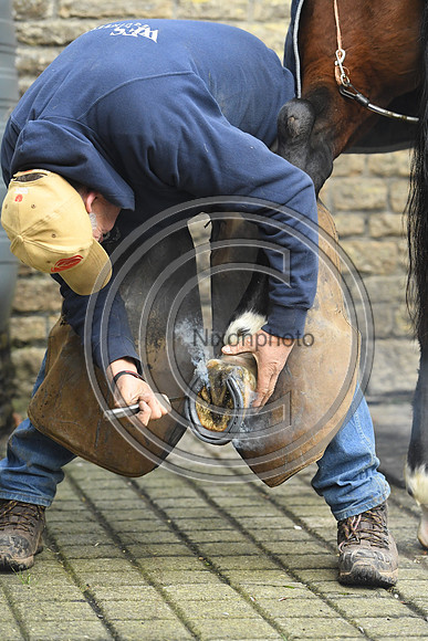 Nigel Perrott_Farrier_PN20_51817