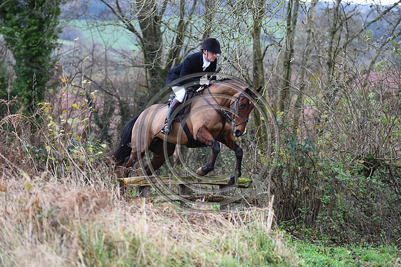 Ludlow_Hunting_198