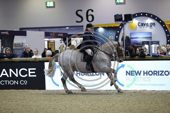 Rising Star_CobChamp_LIHS_PN24_10248