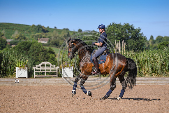 Collective Equestrian