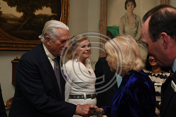 DUCHESS OF CORNWALL_BEF_PN22_10873
