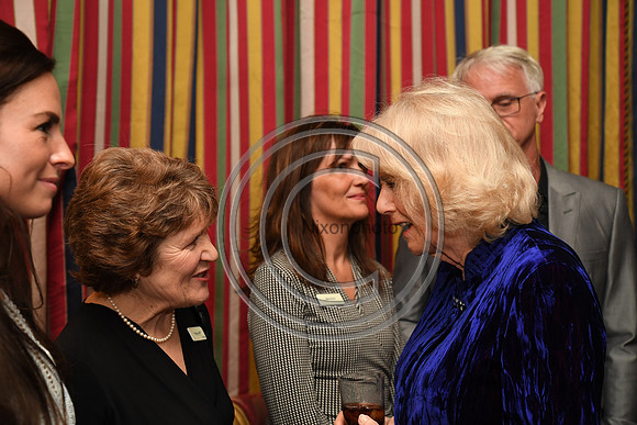 DUCHESS OF CORNWALL_BEF_PN22_10847