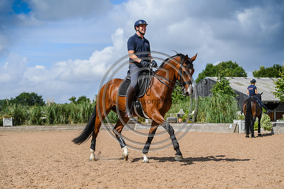 Collective Equestrian