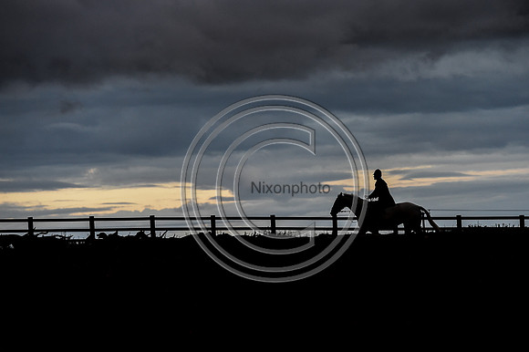 Grafton_Hunting_PN23_14388