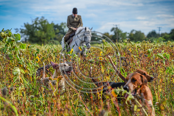 Grafton_Hunting_PN23_14323