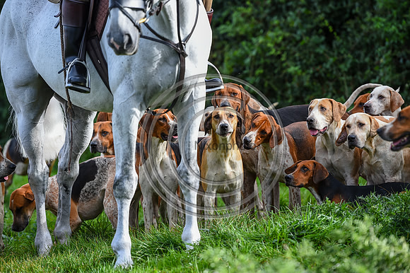 Grafton_Hunting_PN23_14280