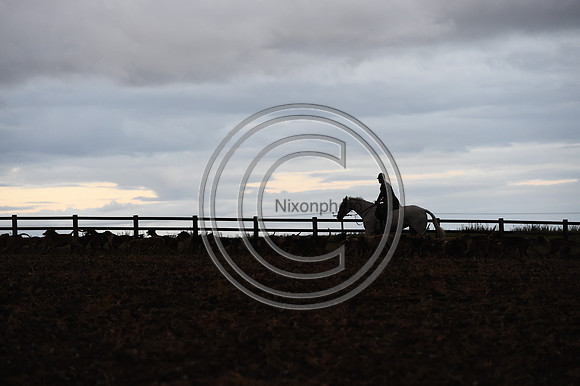 Grafton_Hunting_PN23_14387
