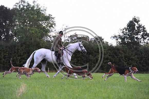 Grafton_Hunting_PN23_14378