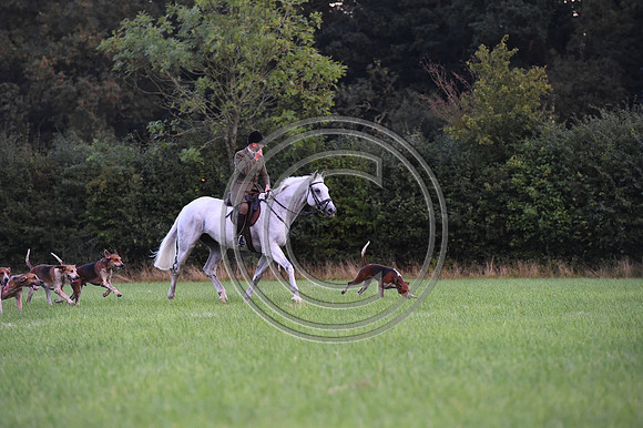 Grafton_Hunting_PN23_14373