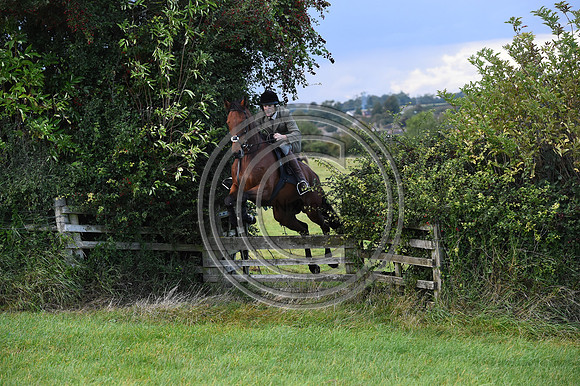 Grafton_Hunting_PN23_14370