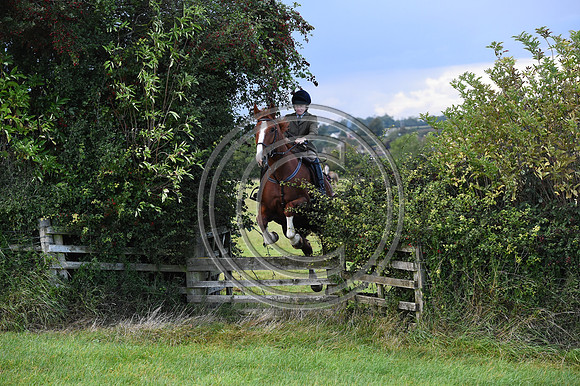 Grafton_Hunting_PN23_14369
