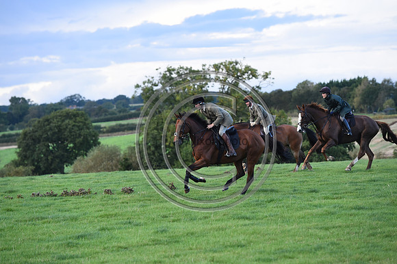 Grafton_Hunting_PN23_14356
