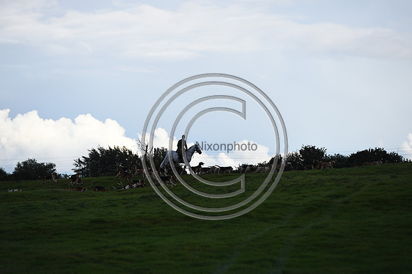 Grafton_Hunting_PN23_14342