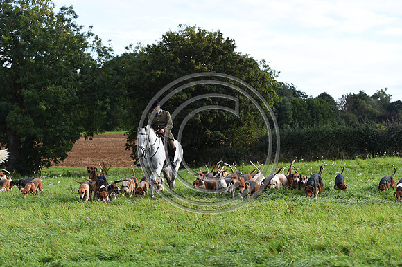 Grafton_Hunting_PN23_14332