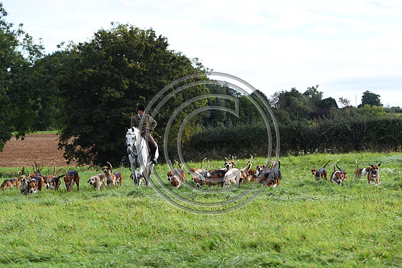 Grafton_Hunting_PN23_14331