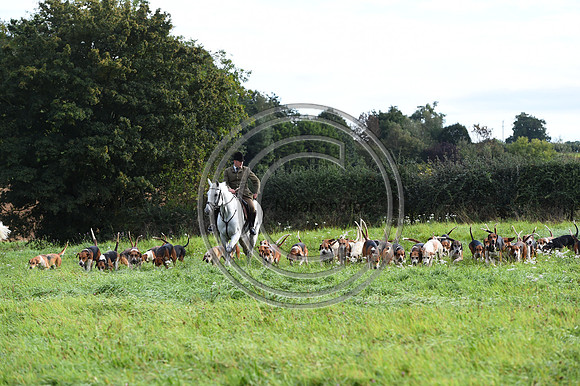 Grafton_Hunting_PN23_14330