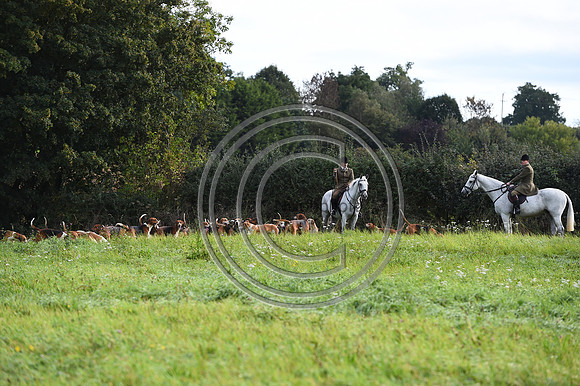 Grafton_Hunting_PN23_14329