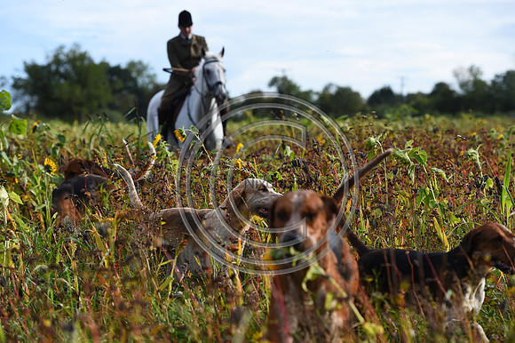 Grafton_Hunting_PN23_14324