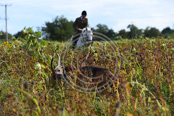 Grafton_Hunting_PN23_14322