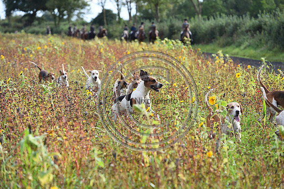 Grafton_Hunting_PN23_14321