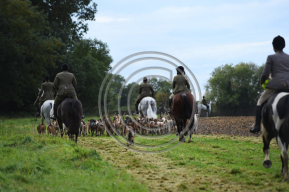 Grafton_Hunting_PN23_14296