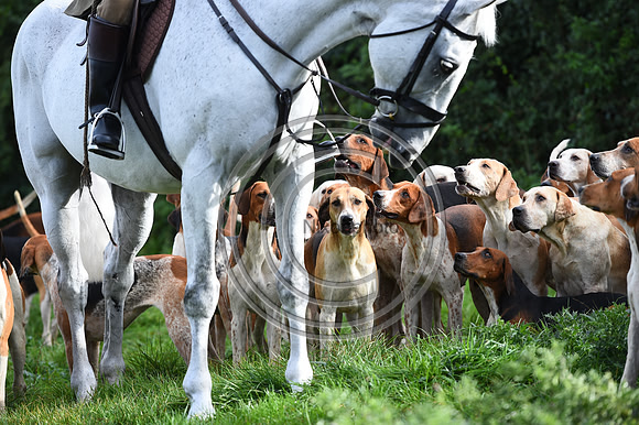 Grafton_Hunting_PN23_14281