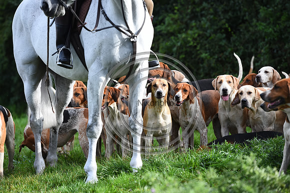 Grafton_Hunting_PN23_14279
