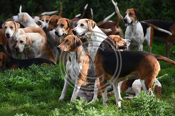 Grafton_Hunting_PN23_14278