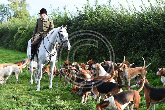 Grafton_Hunting_PN23_14277