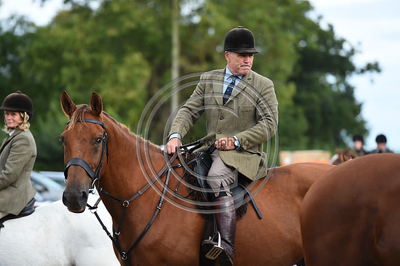 Grafton_Hunting_PN23_14273