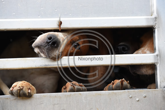 Grafton_Hunting_PN23_14257