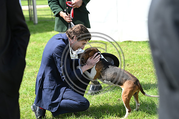 Festival of Hounds 2024