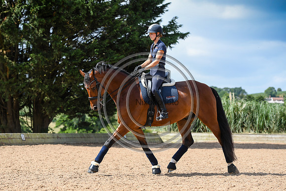 Collective Equestrian