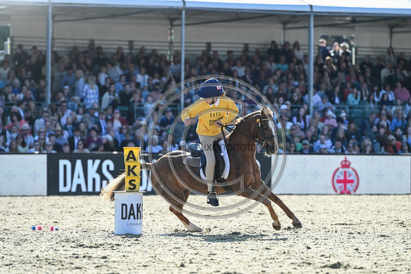DAKS_PCMG_RWHS25_P190013