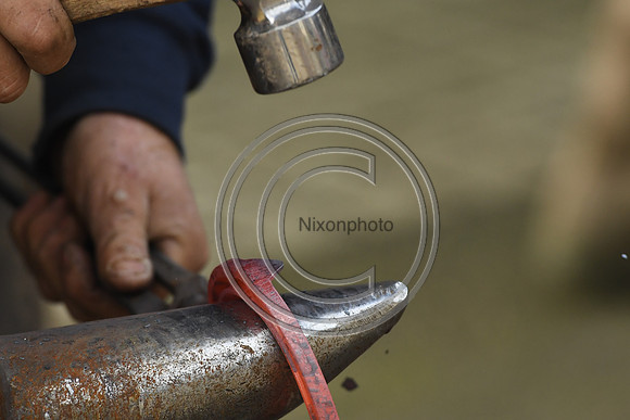 Nigel Perrott_Farrier_PN20_51831