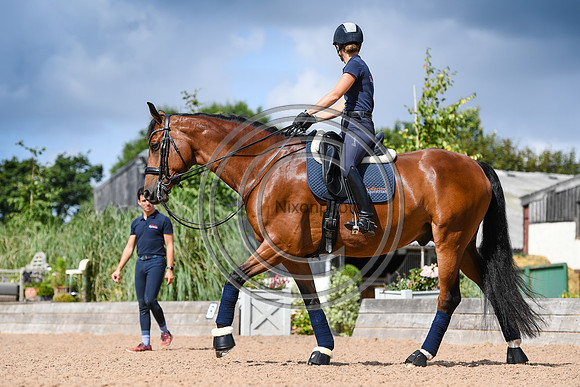 Collective Equestrian